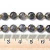 Natural Larvikite Beads Strands G-K389-B85-01-5