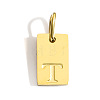 304 Stainless Steel Pendants STAS-Z143-01G-T-1
