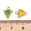 201 Stainless Steel Rhinestone Pendants RB-CBABFDA-12G-3