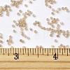 MIYUKI Delica Beads SEED-MY11-DB1731-4