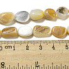 Natural Yellow Shell Beads Strands SSHEL-H072-08-4