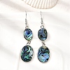 Brass Natural Abalone Shell Dangle Earrings EJEW-F388-01A-P-1