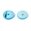 Natural Freshwater Shell Beads Strands SHEL-N037-03A-03-3