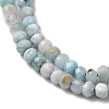 Natural Larimar Beads Strands G-F803-B01-01-4
