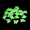Luminous Opaque Acrylic Beads OACR-Z027-07-3
