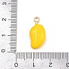 Fruit Alloy Enamel Pendants LS-ENAM-P264-02I-G-4
