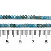 Natural Apatite Beads Strands G-F770-D09-02B-5