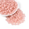 Transparent Colours Glass Seed Beads SEED-N007-39B-09-1