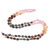 Natural African Turquoise(Jasper) & Rose Quartz & Red Aventurine & Indian Agate & Synthetic Goldstone Beads Strands G-Z135-A08-3