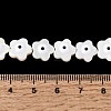 Natural Freshwater Shell Beads Strands SHEL-A006-03E-4
