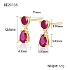 Cubic Zirconia Teardrop Dangle Stud Earrings SC9593-05-1