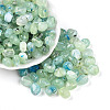 Transparent Acrylic Beads TACR-T028-43B-1