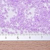 MIYUKI Delica Beads SEED-X0054-DB0248-4