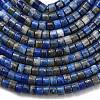 Natural Lapis Lazuli Beads Strands G-P608-A06-01-4
