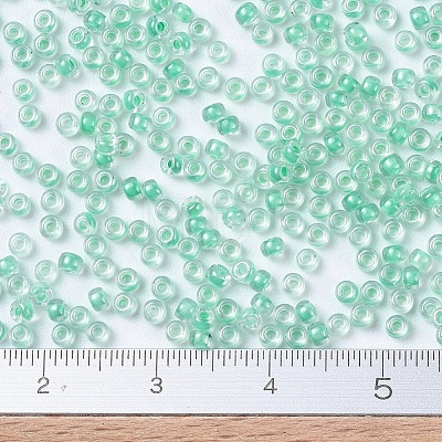 MIYUKI Round Rocailles Beads SEED-G007-RR0219-1