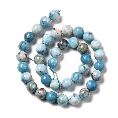 Natural Gemstone Beads Strands G-F730-02C-1