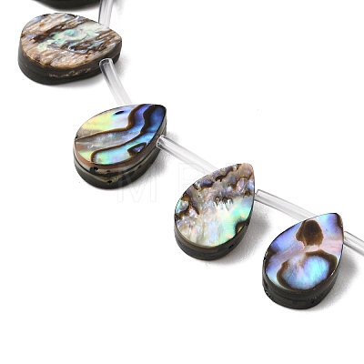Natural Abalone Shell Paua Shell Beads Strands SH-CBA69D1-02-1