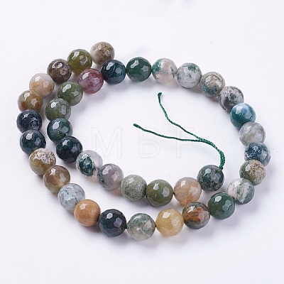 Natural Indian Agate Beads Strands G-G542-10mm-19-1