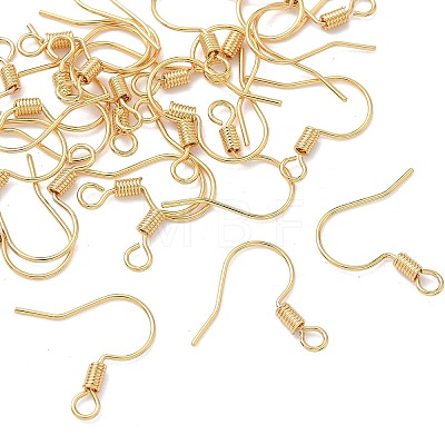 SHEGRACE Brass Earring Hooks XGR0140G-153G-1