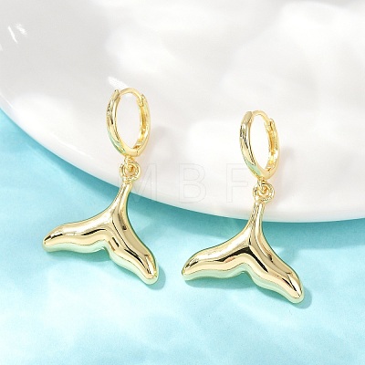 Brass Hoop Earrings EJEW-Q036-03D-G-1