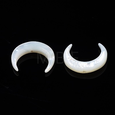 Natural White Shell Mother of Pearl Shell Beads X-SSHEL-T012-07-1