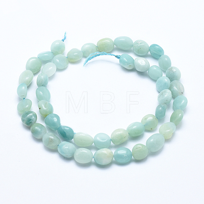 Natural Amazonite Beads Strands G-E483-53B-1