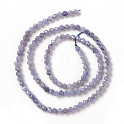 Natural Tanzanite Beads Strands G-F717-17A-1