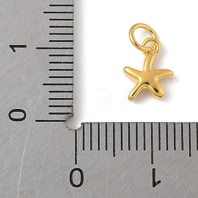 925 Sterling Silver Starfish Charms with Jump Rings STER-R013-01G-1