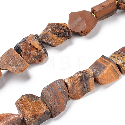 Natural Tiger Eye Beads Strands G-I283-E02-1