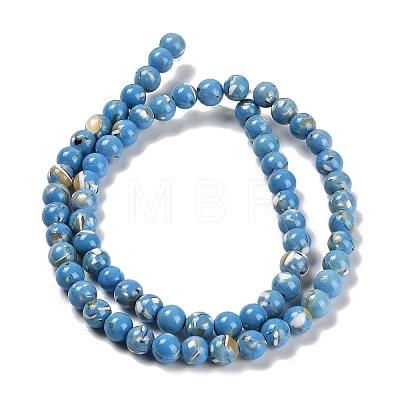 Assembled Synthetic Stone and Trochus Shell Beads Strands G-B128-08B-08-1