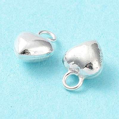 925 Sterling Silver Charms STER-H106-01D-S-1