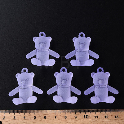 Frosted Acrylic Pendants MACR-S373-60K-04-1