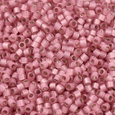 MIYUKI Delica Beads SEED-JP0008-DB2189-1