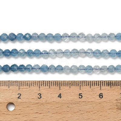 Gradient Color Natural Devil Blue Aquamarine Beads Strands G-NH0072-B01-4mm-1