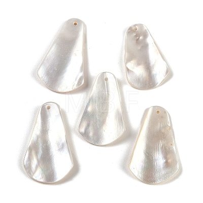 Natural Freshwater Shell Pendants SHEL-K009-06-1