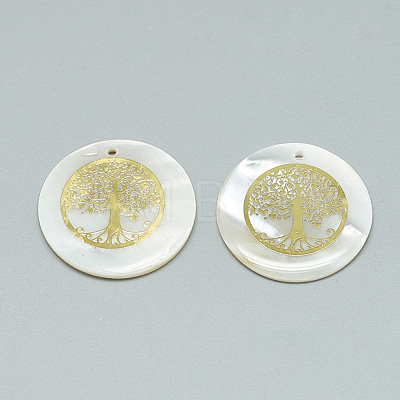 Freshwater Shell Pendants SHEL-Q016-016-1