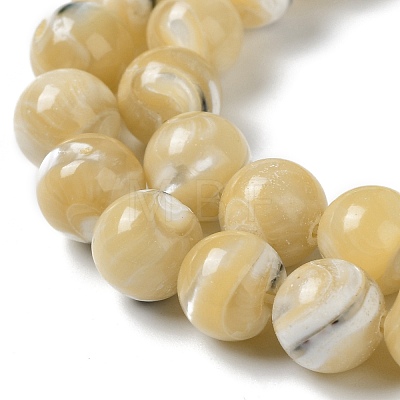 Natural Trochus Shell Beads Strands BSHE-P033-03B-1