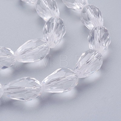 Glass Beads Strands GLAA-R024-15x10mm-12-1
