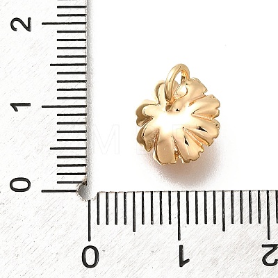 Brass Charms KK-M318-27G-1