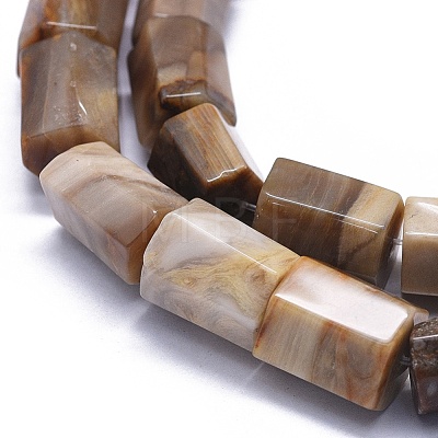 Natural Petrified Wood Beads Strands G-K293-J02-E-1