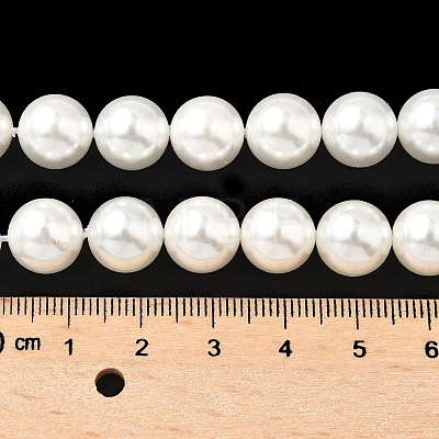 Shell Pearl Beads Strands BSHE-K015-10mm-04-1