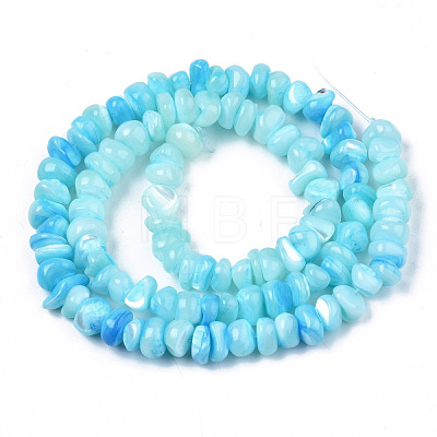 Natural Sea Shell Beads Strands SSHEL-S278-131D-1