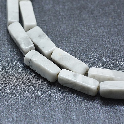 Natural Howlite Beads Strands G-F631-E10-1