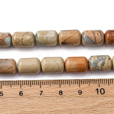 Natural Aqua Terra Jasper Beads Strands G-L624-C03-12x8mm-1