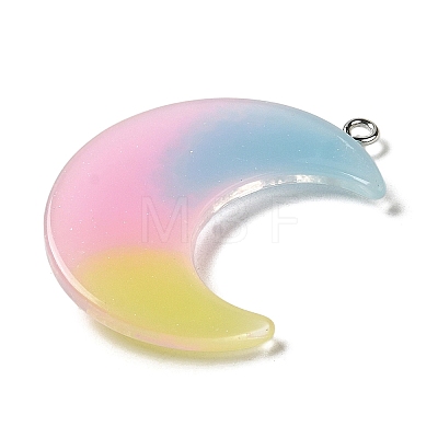 Gradient Color Translucent Resin Pendants FIND-Z006-03D-1