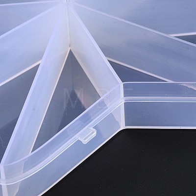 10 Grids Transparent Plastic Box CON-B009-06-1