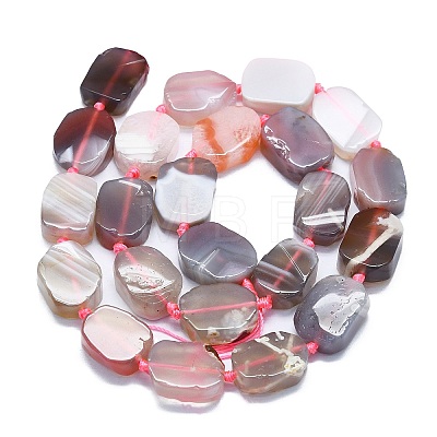Natural Botswana Agate Beads Strands G-K245-J10-B01-1