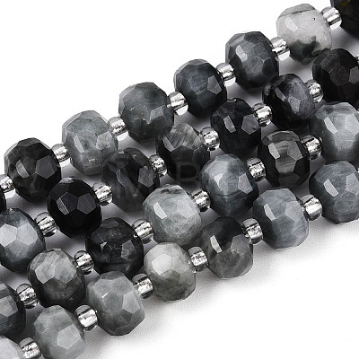 Natural Eagle Eye Stone Beads Strands G-N327-08A-02-1