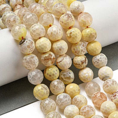 Faceted Natural Fire Crackle Agate Beads Strands G-F447-12mm-H02-1