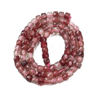 Natural Red Quartz Beads Strands G-H042-A48-02-1